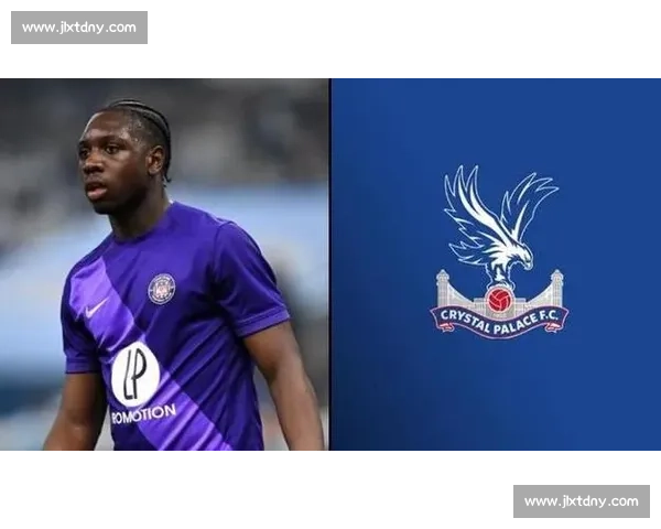 罗马诺确认：图卢兹任命贝扎尼为临时体育总监，红鸟集团力挽核心高管