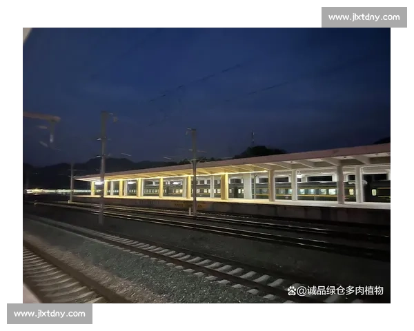 截瘫 14 年，28 岁小伙独自乘高铁：“我想多感受世界”